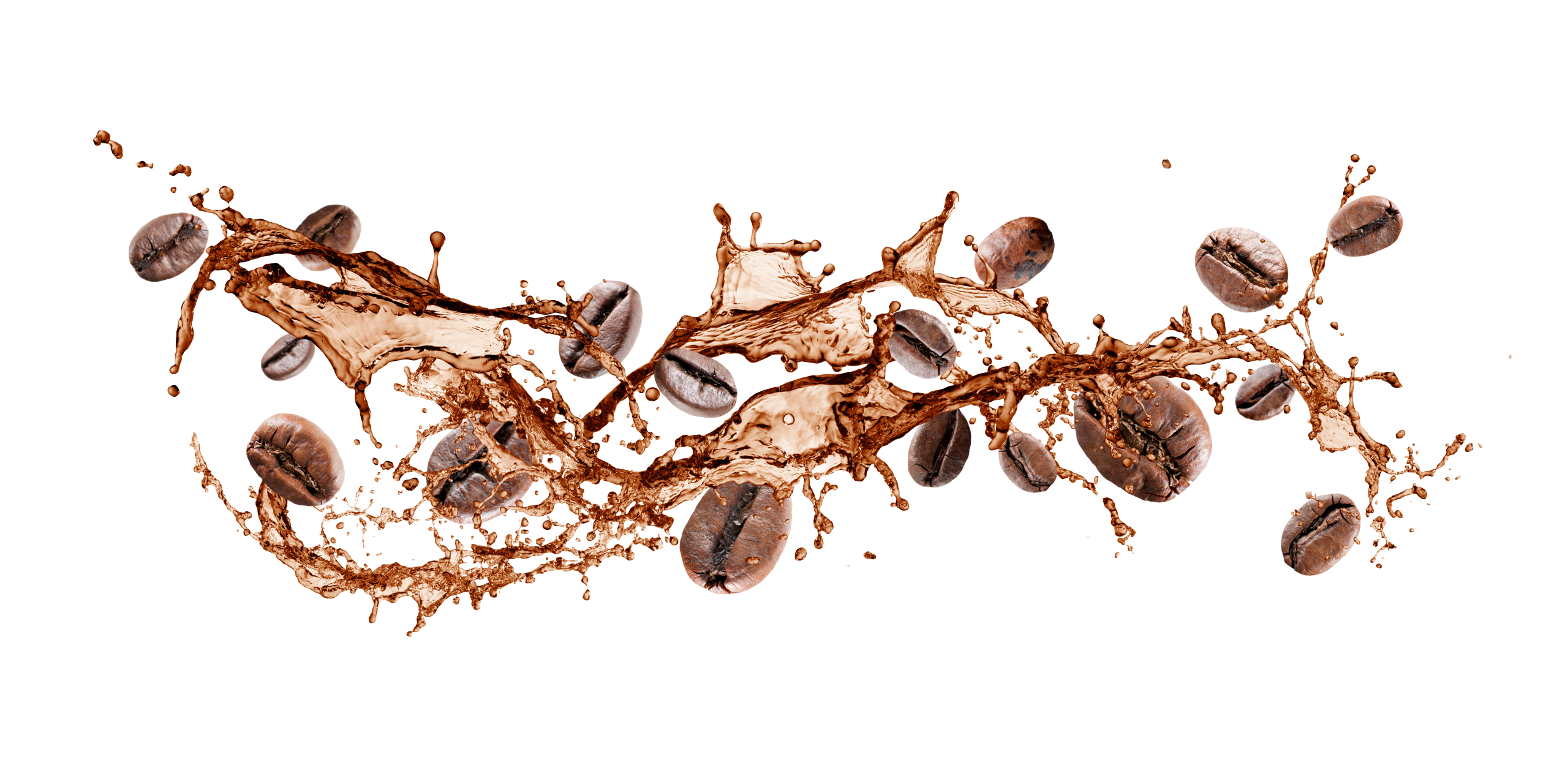 Fermentation